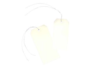 Avery - 1000 Étiquettes américaines à œillets avec fil de fer - 120 x 60 mm - réf 75-410