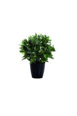 Plante artificielle laurier - hauteur 50 cm