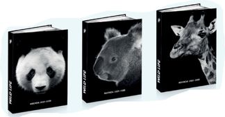 Agenda rembordé Animals Wild - 1 jour par page - 12x17 cm - 3 décors assortis - Kid'Abord