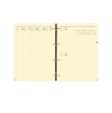 Quo Vadis - Recharge Organiseur - 2026-2027 - Timer 29 Prestige - Semainier Planning - Français - 16 mois de septembre à décembre - 21x29,7 cm - Papier Clairefontaine ivoire - Fabrication française