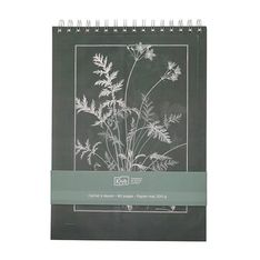 Kiub - Carnet a dessin vert 29,8x21 - Collection encyclopedia par dyb
