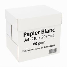 Papier blanc - A4 (210 x 297 mm) - 80 g/m² - 2500 feuilles (carton de 5 ramettes)