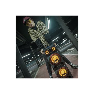 8435430613032-NGS Premium Wild Punk 1 - Enceinte haut parleur - compatible avec bluetooth  - 300W -Avant-5