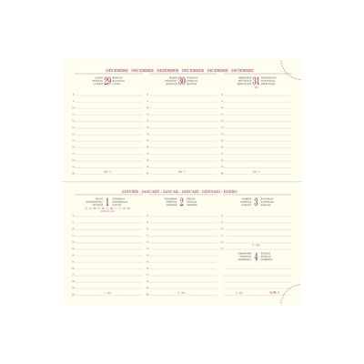 3660942002875-Cassandra Temporel 17 - Agenda de poche - 1 semaine sur 2 pages - 9 x 17,5 cm - disponible dans diff-P_10617230_1-5