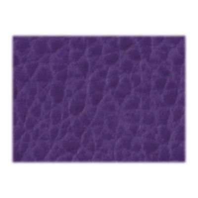 3660942002875-Cassandra Temporel 17 - Agenda de poche - 1 semaine sur 2 pages - 9 x 17,5 cm - disponible dans diff-P_10617230_4-2