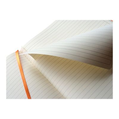 3037921177044-RHODIA Rhodiarama - Carnet souple A4+ - 160 pages - ligné - taupe-Gros plan-3
