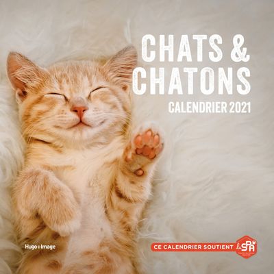 9782755683301-Calendrier mural Chats et chatons 2021-P_400004134_1-0