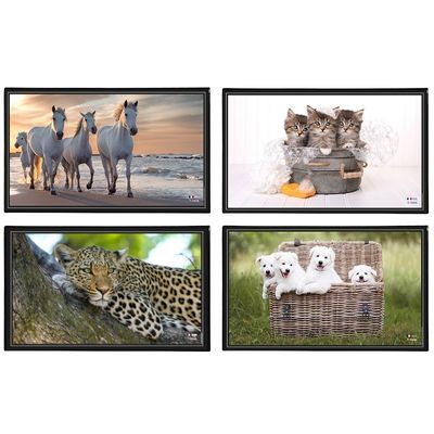 3135251382876-Viquel - Sous-main Animaux - 59,8 x 36,5 cm - disponible dans différents modèles-P_400008663_1-0