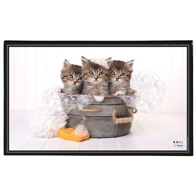 3135251382876-Viquel - Sous-main Animaux - 59,8 x 36,5 cm - disponible dans différents modèles-P_400008663_2-1