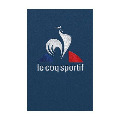 Offre d'emploi le coq sportif online
