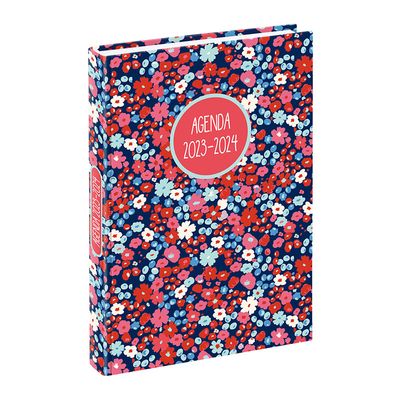 3135257452986-Agenda Liberty - 1 jour par page - 12 x 17 cm - rose ou bleu - Viquel--1