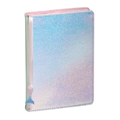 3660942068550-Agenda Ariel - 1 jour par page - 12 x 17 cm - argent - Exacompta--0