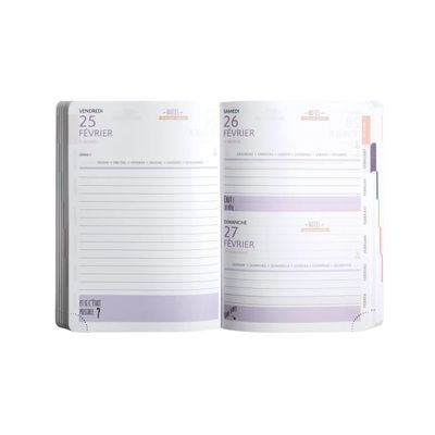 3660942068550-Agenda Ariel - 1 jour par page - 12 x 17 cm - argent - Exacompta--2