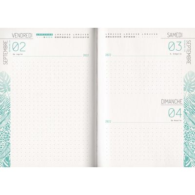3592930019629-Agenda broché Léopard - 1 jour par page - 12 x 17 cm - Bouchut-P_405114227_8-7