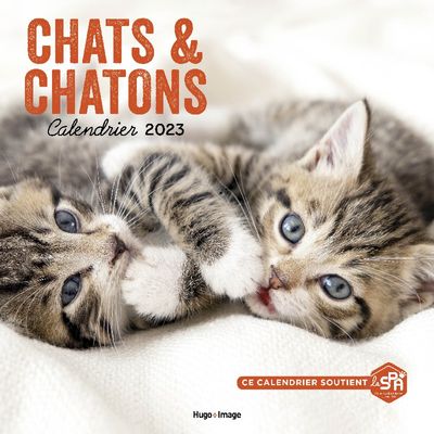 9782755698497-Calendrier Mural Chats et Chatons 2023-P_405122630_1-0
