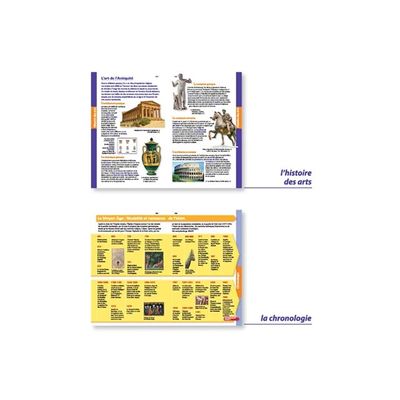 9782036068735-Le dictionnaire Larousse Junior et son dictionnaire en ligne - CE / CM-P_405184149_10-9