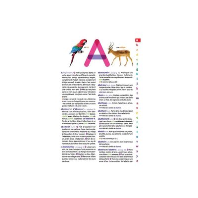 9782036068735-Le dictionnaire Larousse Junior et son dictionnaire en ligne - CE / CM-P_405184149_3-2
