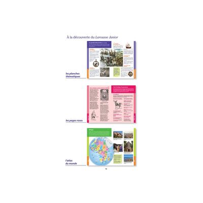 9782036068735-Le dictionnaire Larousse Junior et son dictionnaire en ligne - CE / CM-P_405184149_4-3