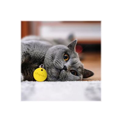 850006063802-Chipolo ONE - Balise de sécurité sans fil pour téléphone portable - jaune-P_405188330_1-1