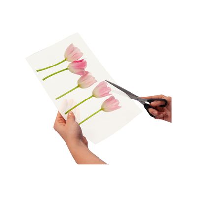 4004360995972-Sigel - Films transparents adhésifs (spécial vitrophanie) A4 - 4 feuilles-Angle gauche-4