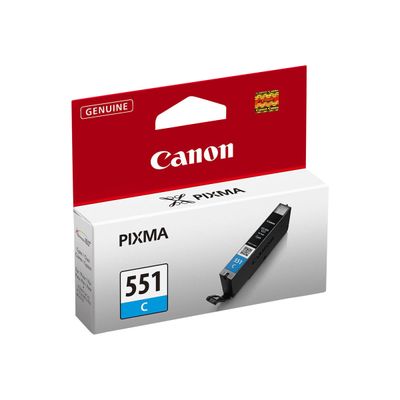 CANON ENCRE CLI-531 GRIS | eBay