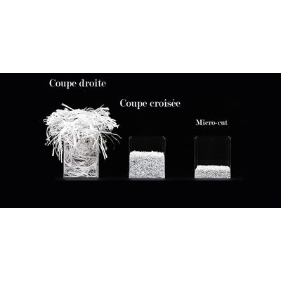 4007885258898-Dahle PaperSAFE 22114 - destructeur de documents coupe croisée - 10 feuilles - Corbeille 2-P_79387799_3-2