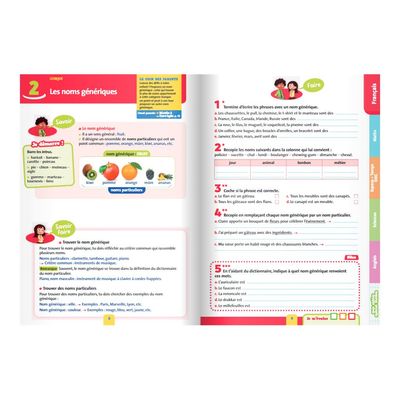 9782047357132-L'année de CE2 - Tout pour réussir - edition bordas 2019-P_79438852_1-1