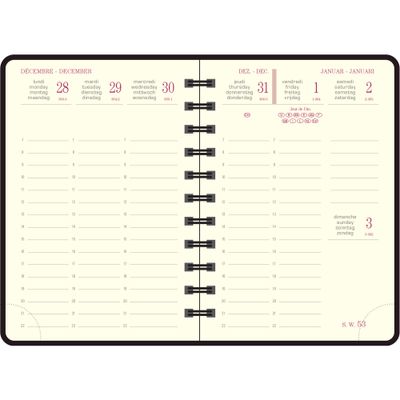3660942033619-Agenda de poche spiralé Swan Eurotime 13W - 1 semaine sur 2 pages - 9 x 13 cm - disponible dans différentes cou--2