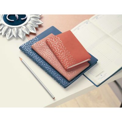 3660942065603-Agenda Amélie Horizons 20 - 1 semaine sur 2 pages - 15 x 21 cm - disponible dans différentes couleurs--3