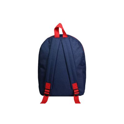 3666311005102-Bagtrotter - Sac à dos - polyester - multicolore-Back-3
