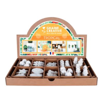 3471051698404-Graine Creative - Ensemble de forme d'artisanat - 64 pièces - ananas, barrel cactus, flat cactus, long cactus, round cactus, succulent, citrus slice, star frui-Front-0