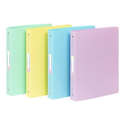 3135252231159-Viquel Rainbow Pastel - Classeur à anneaux - DOS 40 mm - A4 Maxi - Disponible dans différen-Left-angle-0
