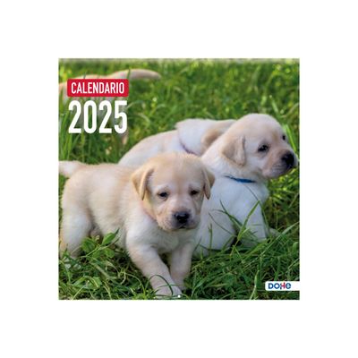 8421938116533-Dohe - Calendrier - fixation murale - 2025 - chiens - mois à afficher - 24 pages - 300 x 300 mm --Front-0