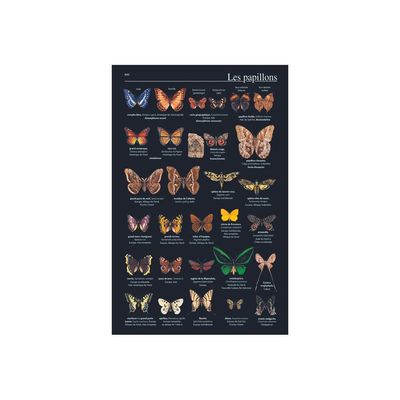 9782036022256-Petit Larousse illustré 2025 - livre-Close-up-8