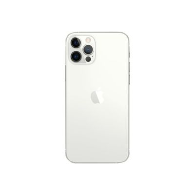194252039274-Apple iPhone 12 Pro - Smartphone - 5G - 256 Go - argent-Back-2