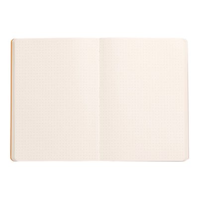 3037921174531-RHODIA Rhodiarama - Carnet souple A5 - 160 pages - pointillés - chocolat-Front-1
