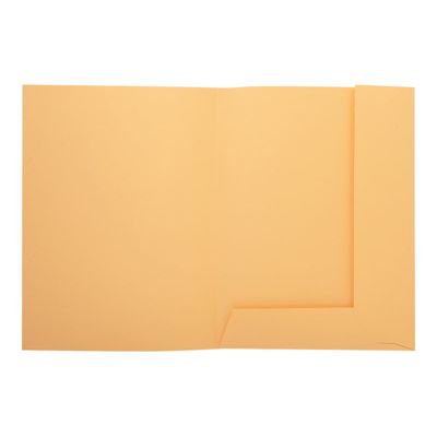 3288583350027-Exacompta Nature Future Jura 250 - Chemise à 2 rabats - pour A4 - capacité : 200 feuilles - crè-Front-2