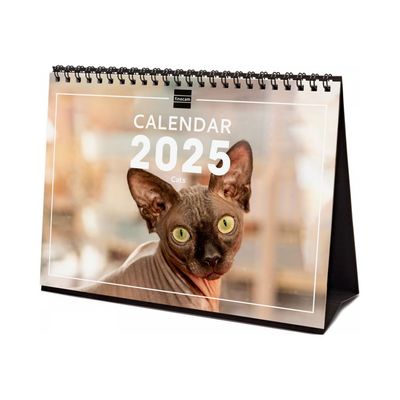 8422952382843-Finocam - Calendrier - de bureau - 2025 - chats - mois à afficher - S - 210 x 150 mm - dat