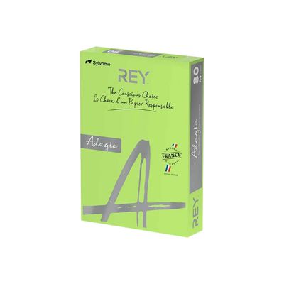 3368220125703-Rey Adagio - Papier couleur - A4 (210 x 297 mm) - 80 g/m² - Ramette de 500 feuilles - vert -Angle droit-0