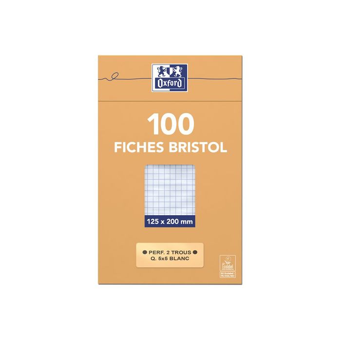 100 Fiches Bristol Petits Carreaux Perforées 12,5X20Cm 10603E - Profitez-en