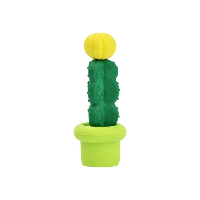 Pack 8 Boîtes Gommes Cactus Ranvi (32 Gommes) - Récompenses Classe Et Cadeaux Fête