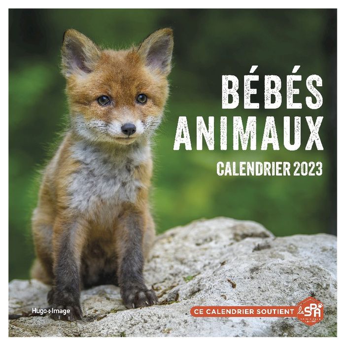 Calendrier Mural Bébés Animaux 2024