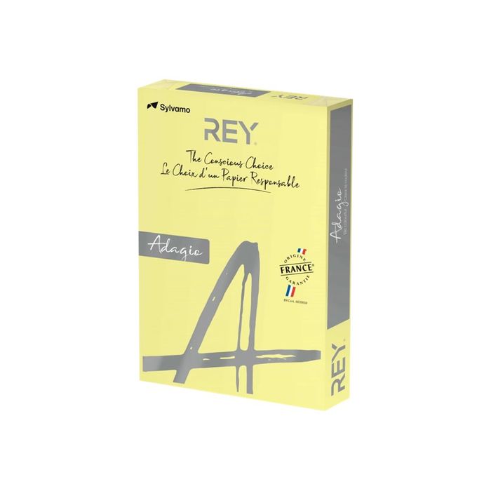 3368220089456-Rey Adagio - Papier couleur - A3 (297 x 420 mm) - 80 g/m² - Ramette de 500 feuilles - canar-Angle droit-0