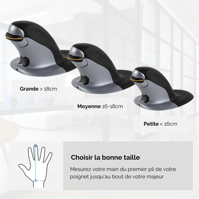 Fellowes - Souris verticale ambidextre Penguin sans fil - Medium Pas Cher