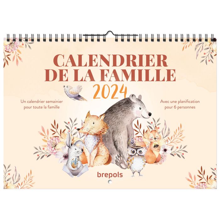 Brepols - Calendrier familial mensuel - 31 x 22 cm Pas Cher