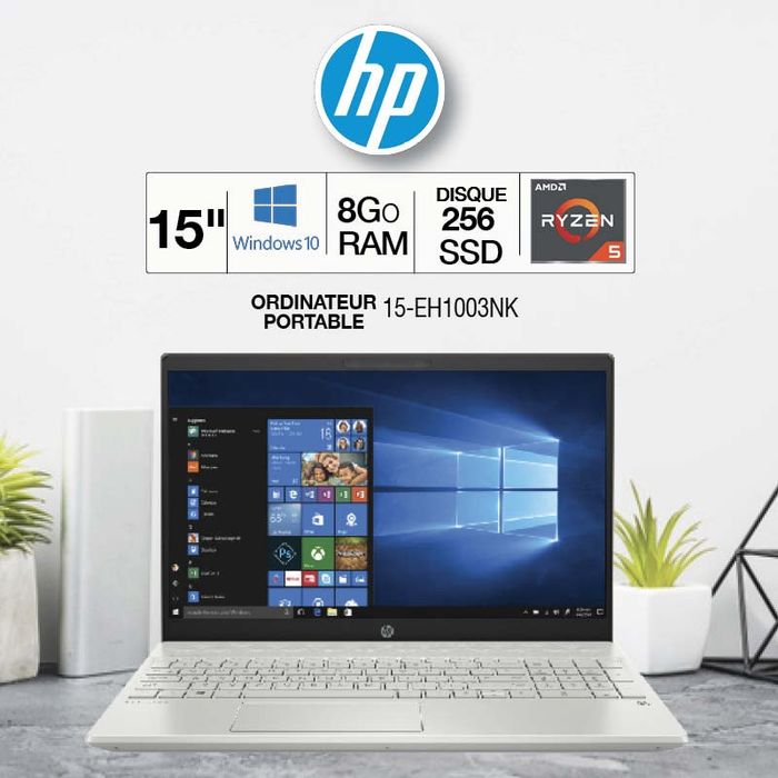 HP Pavilion Laptop 15-eh1003nk - PC portable 15,6 - AMD Ryzen 5 5500U, 8Go  RAM, 1To Disque SSD, Windows 10 Pas Cher