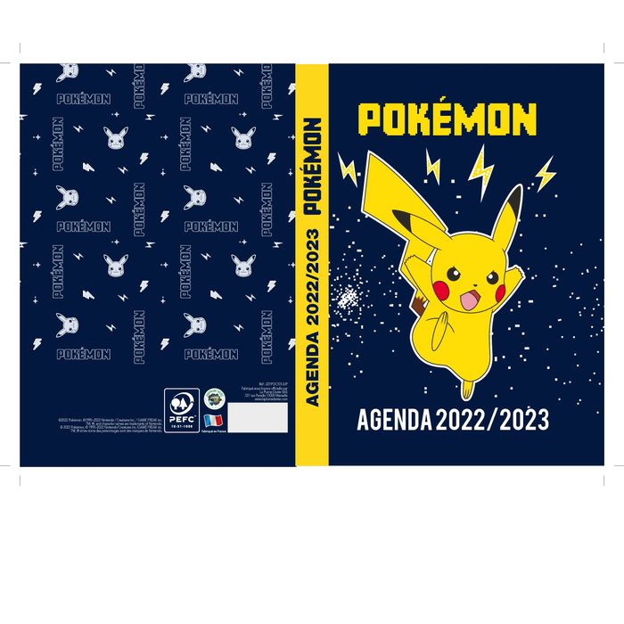 Cadre/affichage de carte Pokémon pour (2) cartes Pokémon verticales et (1)  horiz