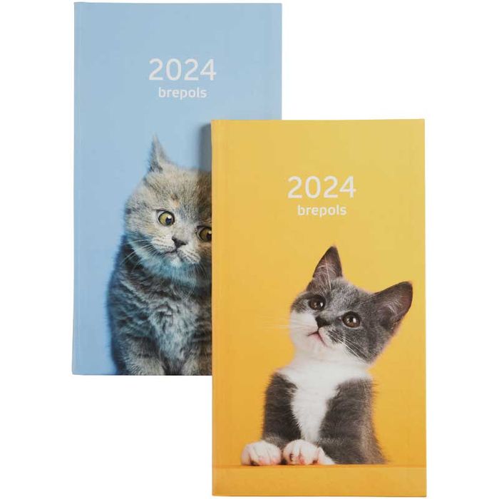 Brepols Interplan 2024, Agenda semainier, 90 x 160 mm : :  Fournitures de bureau