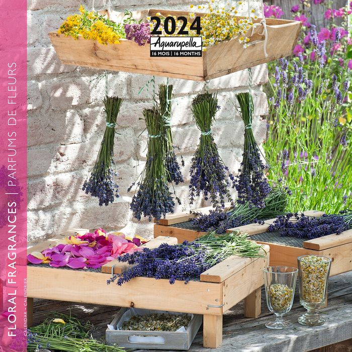 Calendrier mensuel 30 x 30 cm - Provence - 16 mois - Aquarupella