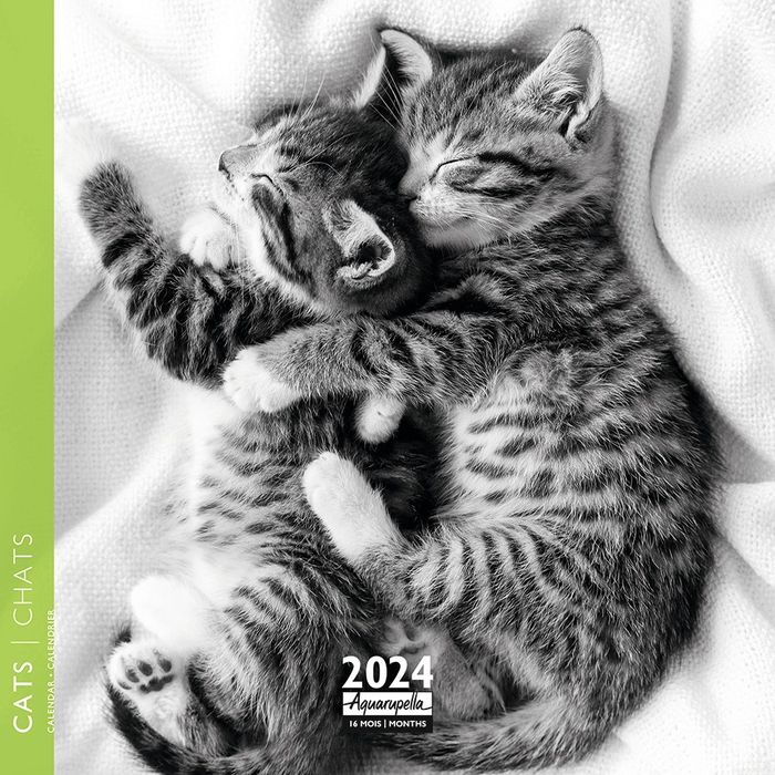 Calendrier bureau chats, mensuel 2024, boutique objets chat